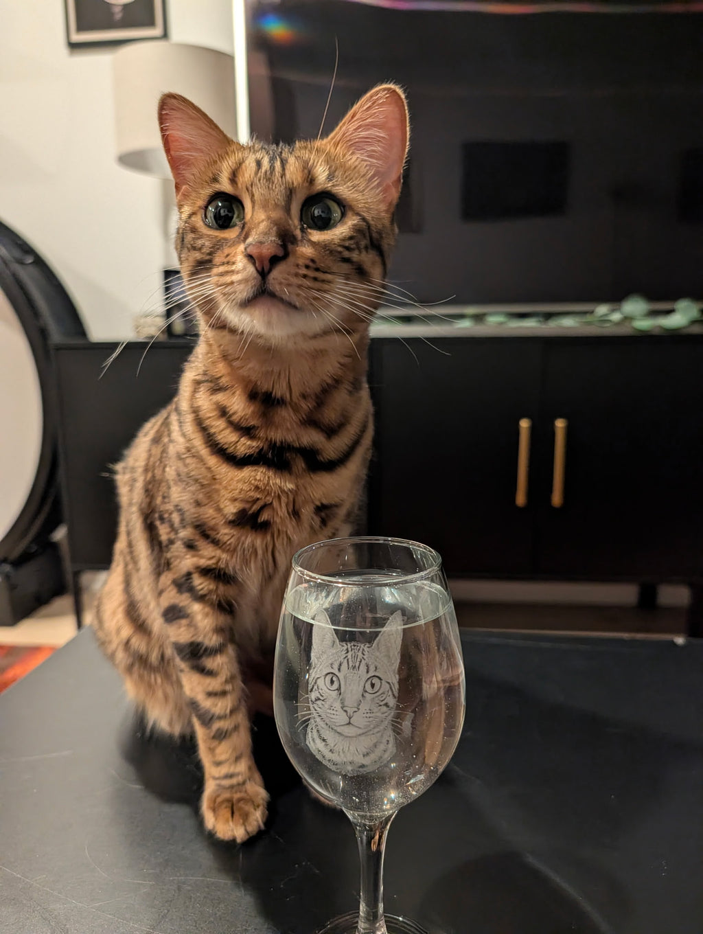 Custom Pet Glass